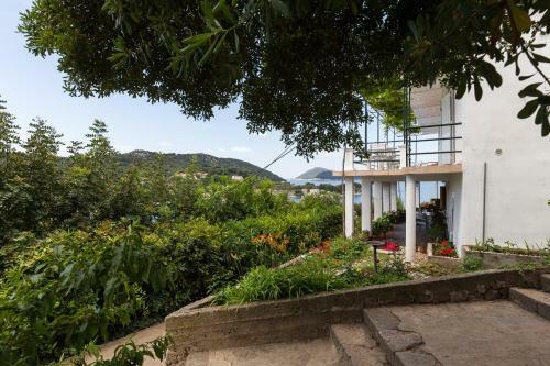 Apartments Miskovic
