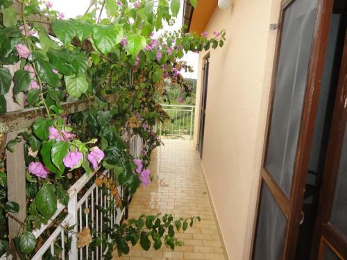 Apartment In Liznjan/istrien 35468
