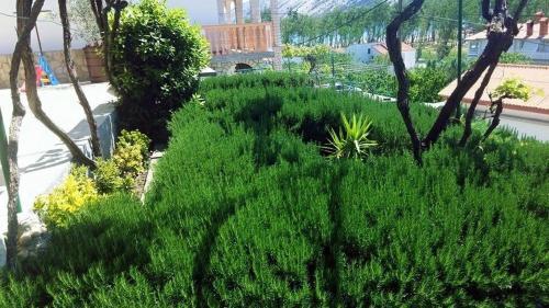 Apartment Lopar 14804a