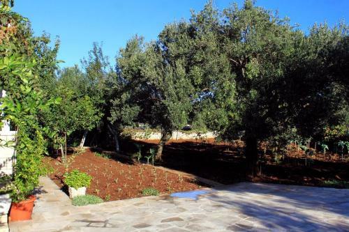 Apartamentos Studio Lumbarda 9298a