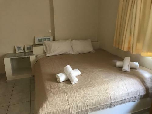 Chc Amazones Apartment - Hotel - Antiopi