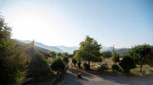 Hotel Orias Guesthouse & Farm