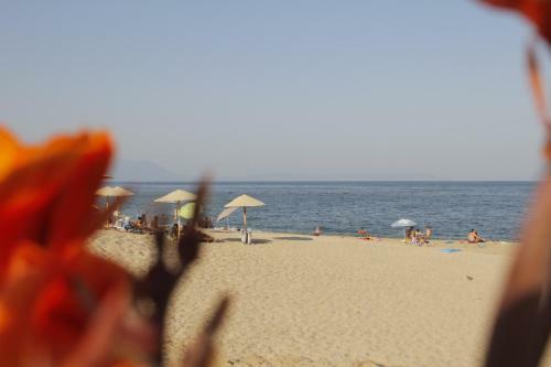 Bed & Breakfast Albatros Suites