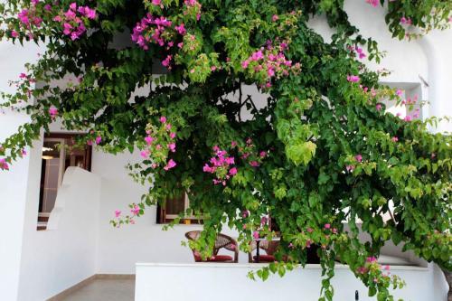 Apartamento Irini Studios