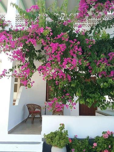 Apartamento Irini Studios