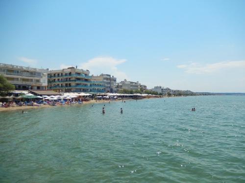 Beach Front Apartment