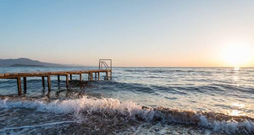 Delfinia Hotel & Bungalows