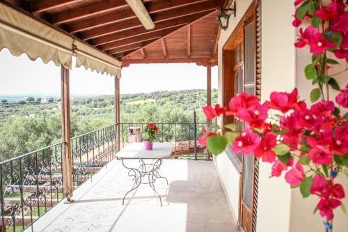 Halkidiki Family Villa-garden