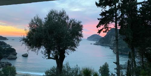 Apartamento Rokamare