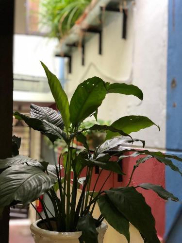 Apartamento La Ventana Mordern House