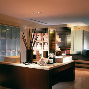 Hotel Fiesta Americana Grand