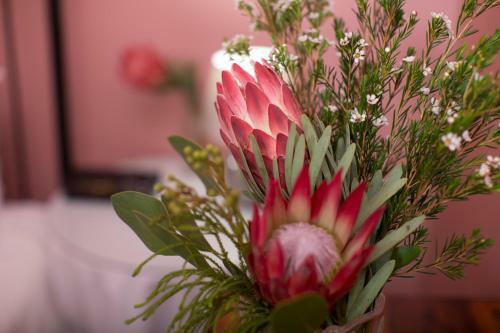Hostal Mountain Manor Guest House & Self Catering
