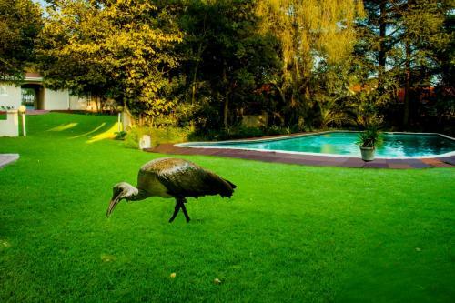 Hostal Four Seasons Lehae Guest House