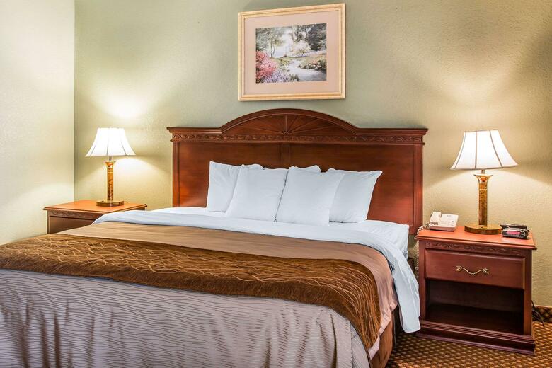 Hotel Comfort Inn & Suites Ann Arbor