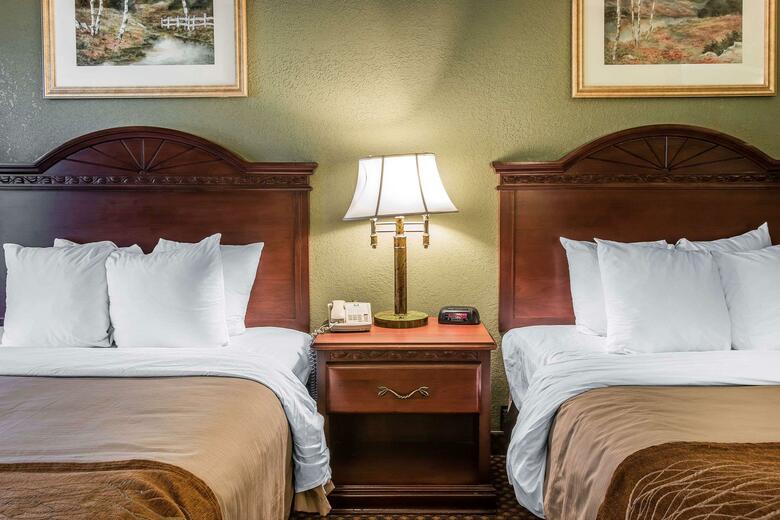 Hotel Comfort Inn & Suites Ann Arbor
