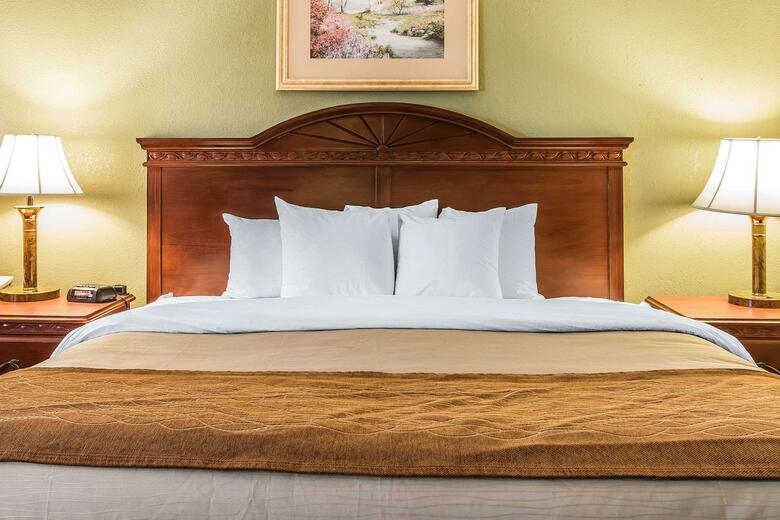 Hotel Comfort Inn & Suites Ann Arbor