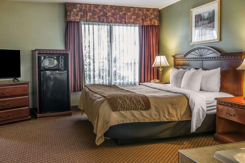 Hotel Comfort Inn & Suites Ann Arbor