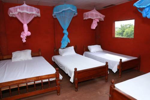 Yala Tree House Safari