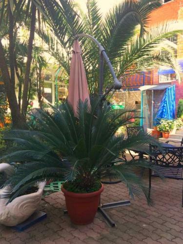 Apartamento Hotel Nadejda