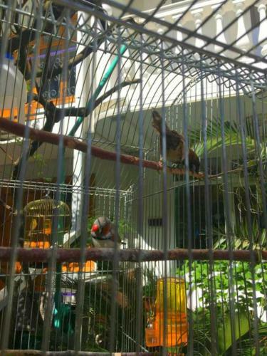 Apartamento Hotel Nadejda
