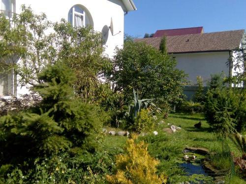 Hostal Lazurnaya Dolina