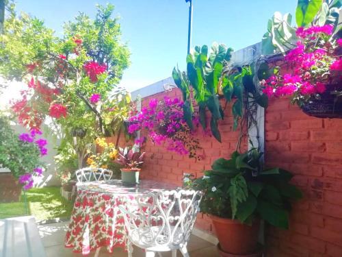 Beautiful & Spacious Terrace Room W/a Garden