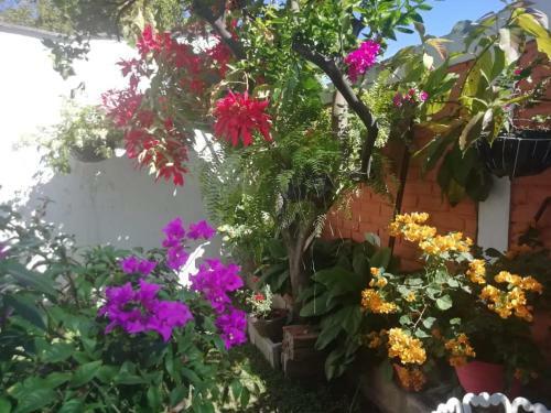 Beautiful & Spacious Terrace Room W/a Garden