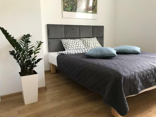 Poznan Rents - Apartamenty Mostowa
