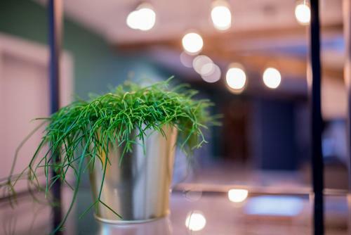 Togoto Wroc?aw Hostel