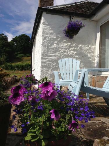 Bed & Breakfast Nether Glenny Cottages
