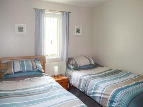 Kittiwake, Haverfordwest