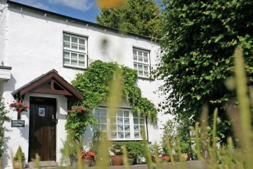 Yew Tree Cottage (ings)