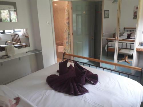 The Alders Bed & Breakfast