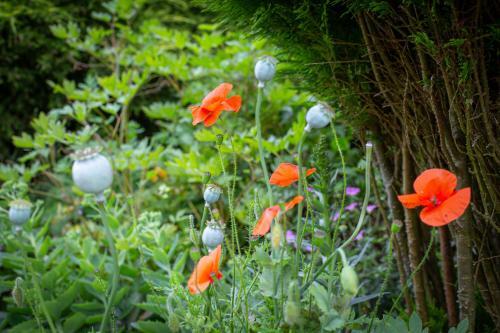 Scalford Country House Hotel