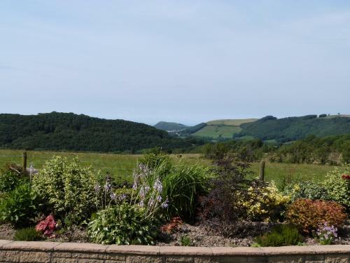 Blaenlli
