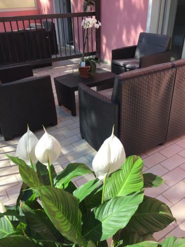 Hotel Storione