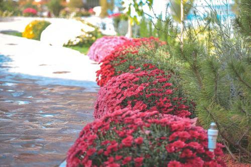 Asmald Palace Hotel