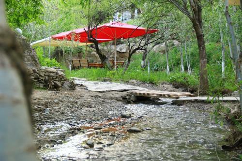 Hotel Sarmishsoy Navoiy
