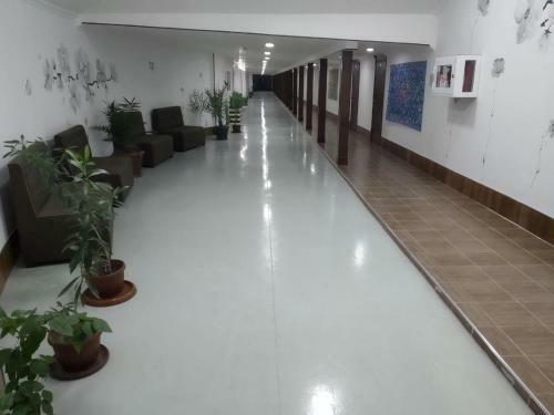 Posada Garden House Mini-hotel