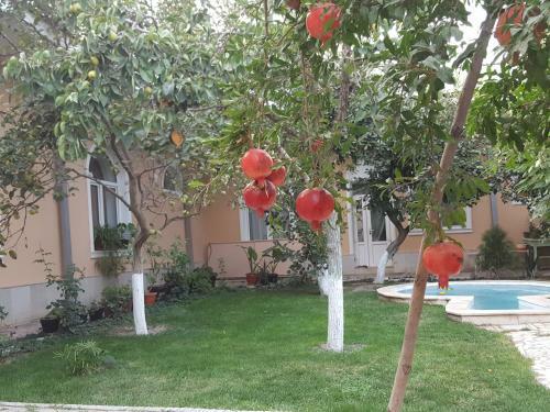 Hostal ?????? ??? Kind House