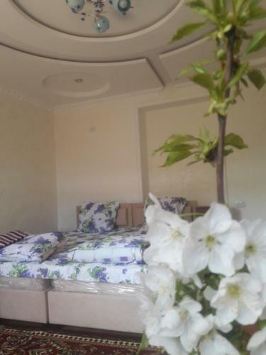 Albergue Hotel Like