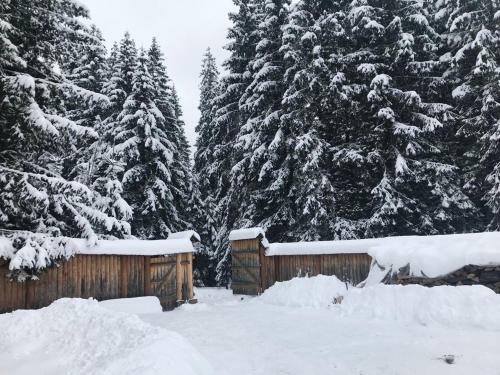 Cottage Karinka