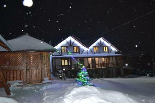 Hostal Aura Karpat