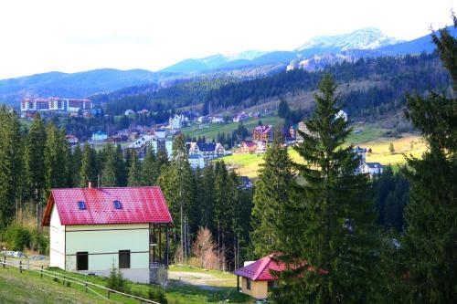 Villa ????? ???????? (werwolf)