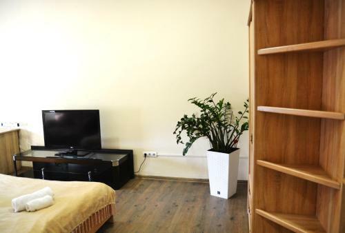 Coin Apartments & Hostel