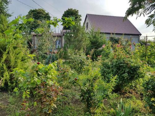 Hostal Svitoch