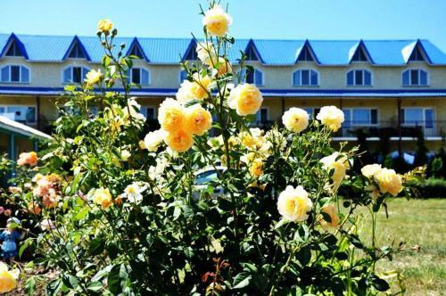 Hotel Irina
