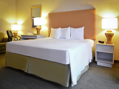 Hotel Fiesta Inn Ciudad Juarez