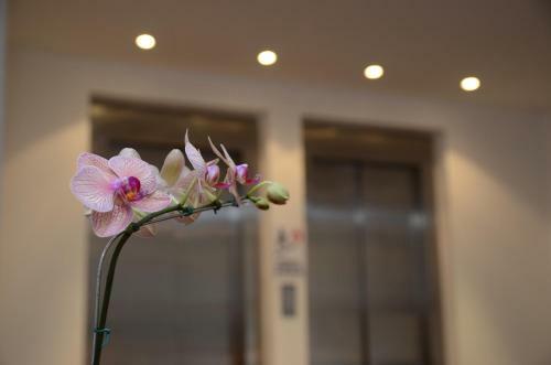 Grand Crucero Iguazu Hotel