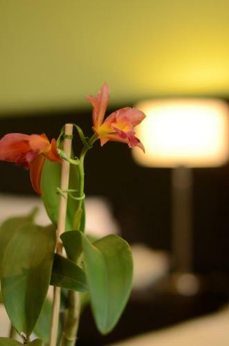 Grand Crucero Iguazu Hotel